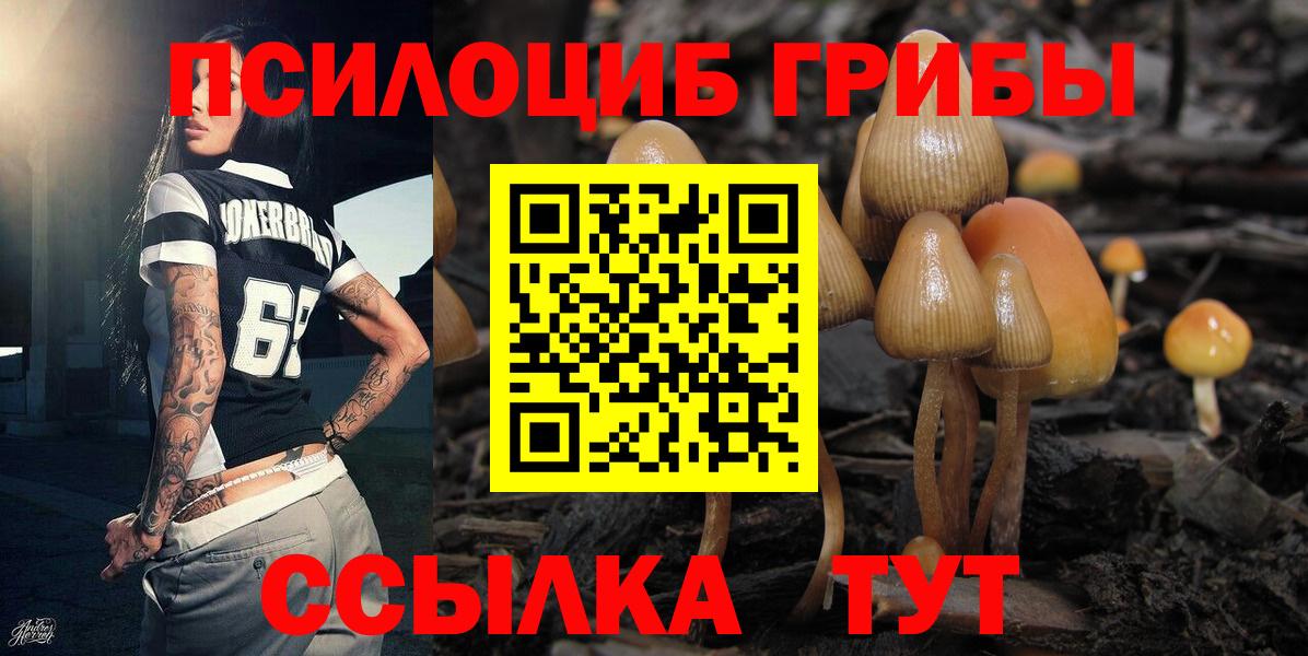 Ртищево  Галлюциногенные грибы мухоморы  Вход с VPN 